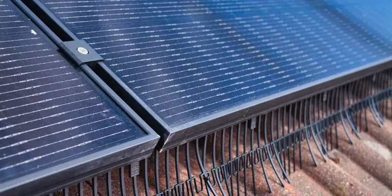 Solar panel bird proofing mesh fitted in North Wales