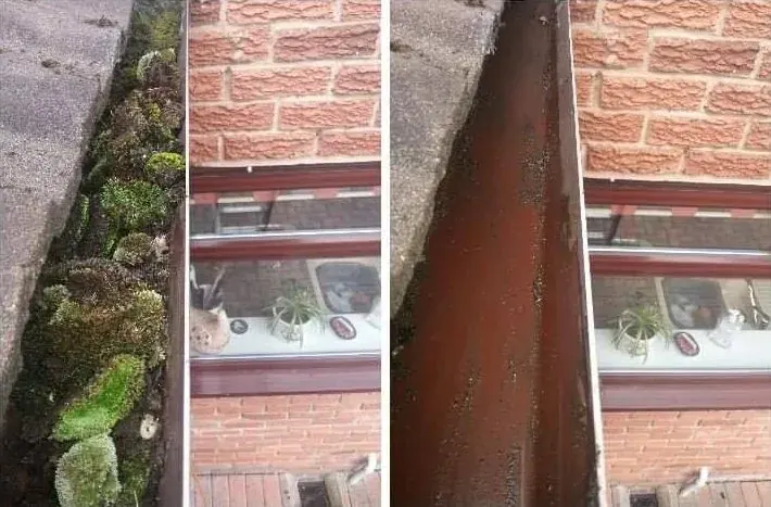 Gutter cleaning in Chester, before and after moss and debris cleared